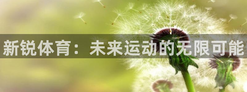 J9官网下载官方客服电话：新锐体育：未来运动的无限可