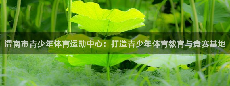 J9官网下载招商电话是多少：渭南市青少年体育运动中心
