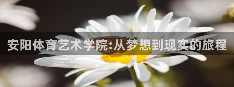 J9官网下载官方客服电话：安阳体育艺术学院:从梦想到