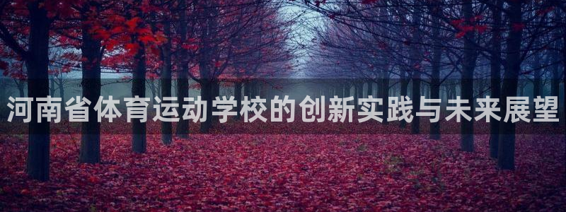 J9官网下载是干嘛的公司：河南省体育运动学校的创新实