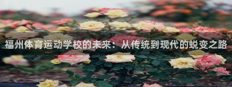 J9官方正版app神州：福州体育运动学校的未来：从传