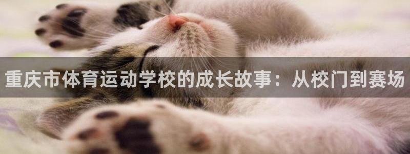 J9官方正版app娱乐平台：重庆市体育运动学校的成长