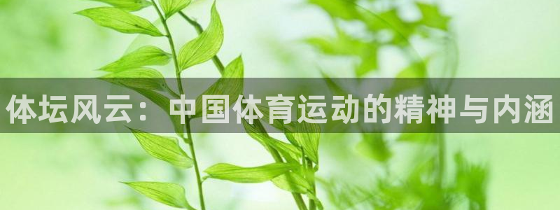 J9官网下载是干嘛的公司：体坛风云：中国体育运动的精