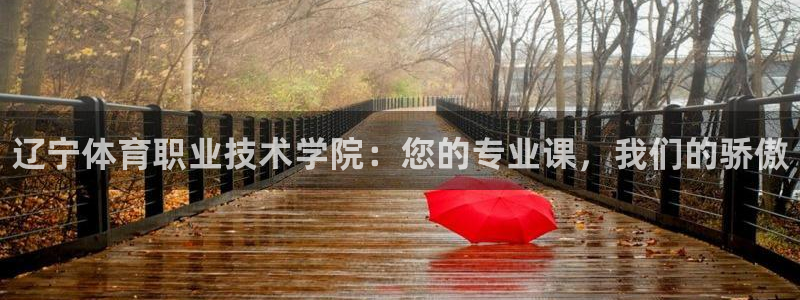 J9官网下载平台注册流程图：辽宁体育职业技术学院：您