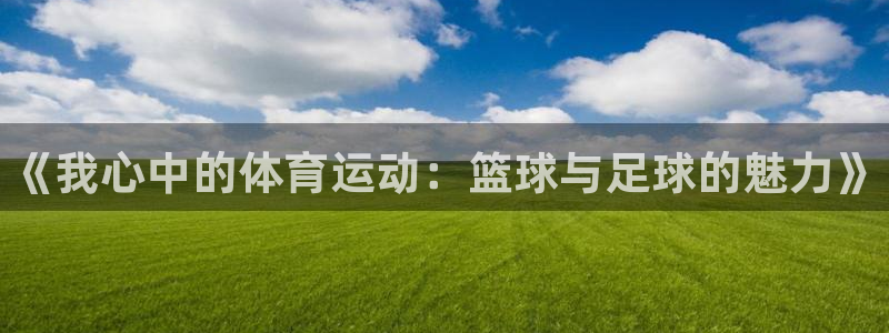 J9官网下载娱乐：《我心中的体育运动：篮球与足球的魅