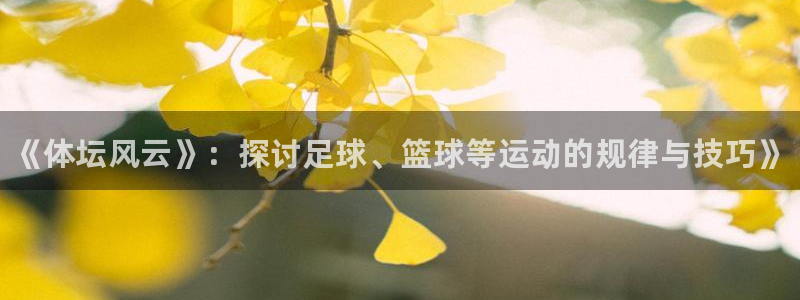 J9官网下载招商电话是多少号码：《体坛风云》：探讨足