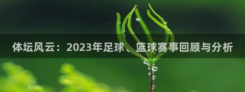 海南J9官网下载：体坛风云：2023年足球、篮球赛事