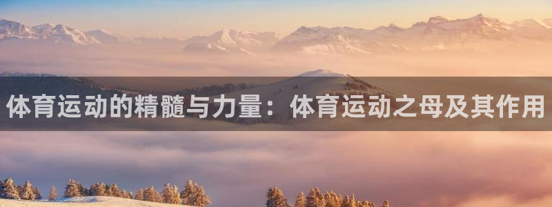 海南J9官网下载发展怎么样：体育运动的精髓与力量：体