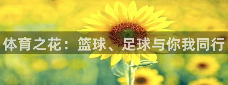 J9官网下载招商电话号码查询：体育之花：篮球、足球与