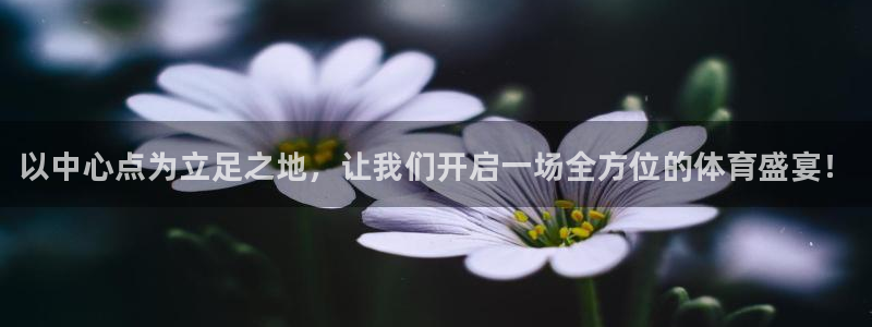 J9官方正版app科技：以中心点为立足之地，让我们开