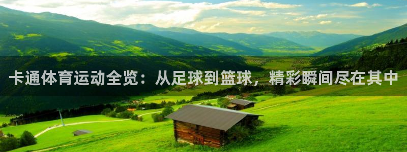 J9官方平台体育：卡通体育运动全览：从足球到篮球，精