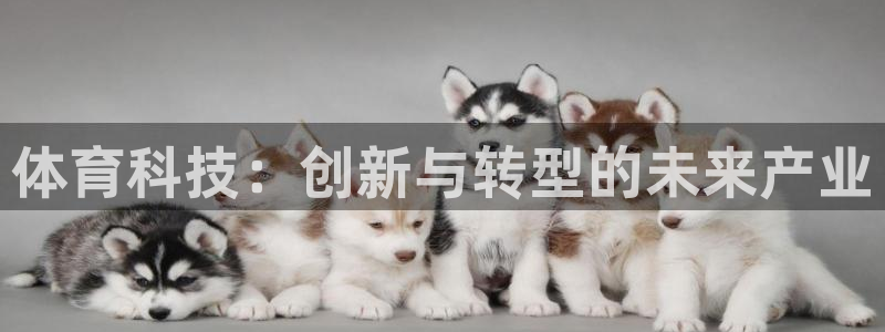 J9官网下载平台注册流程图：体育科技：创新与转型的未来产业