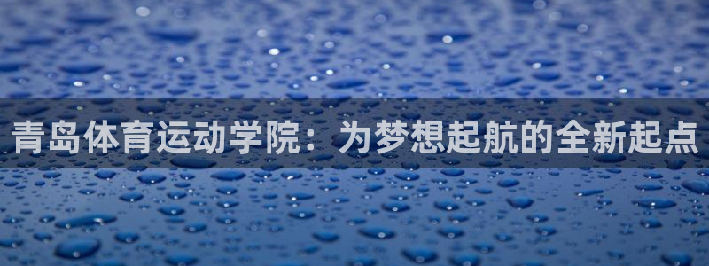 J9官方正版app集团logo：青岛体育运动学院：为梦想起航