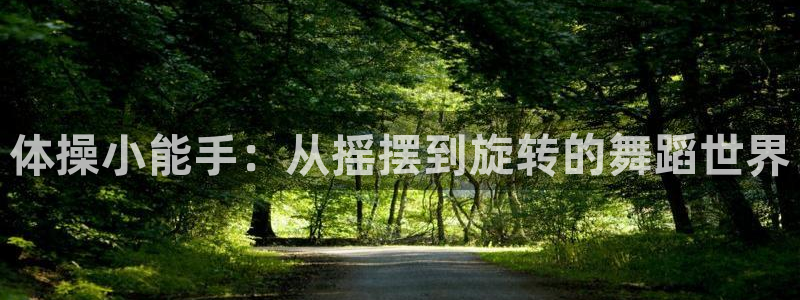 J9官网下载平台注册要钱吗是真的吗：体操小能手：从摇摆到旋转