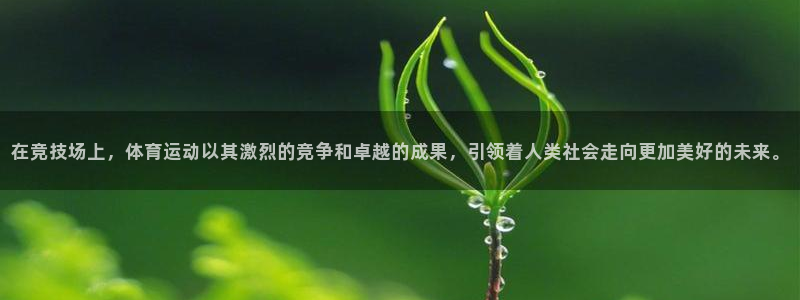 J9官网下载招商电话地址是多少：在竞技场上，体育运动