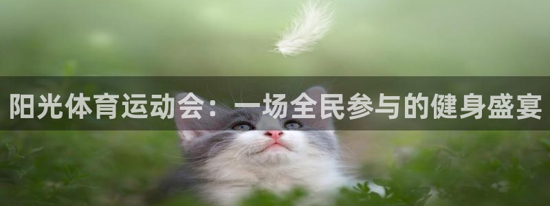 J9官网下载：阳光体育运动会：一场全民参与的健身盛宴