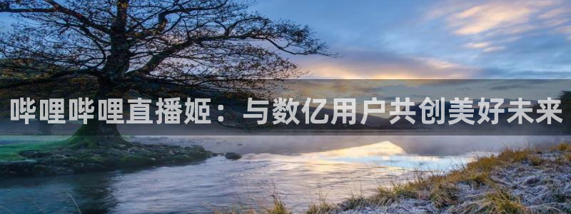 足球小蜘蛛：哔哩哔哩直播姬：与数亿用户共创美好未来