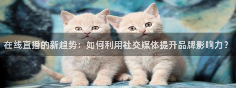蜘蛛体育可可：在线直播的新趋势：如何利用社交媒体提升品牌影响力？