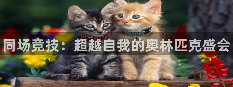 J9官方正版app官方