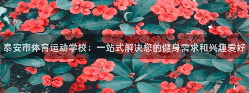 J9官方正版app娱乐平台