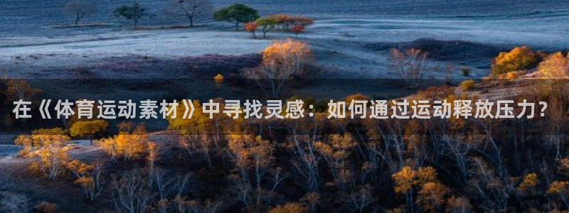 J9官网下载招商电话是多少号码:在《体育运动素材》中寻找灵感