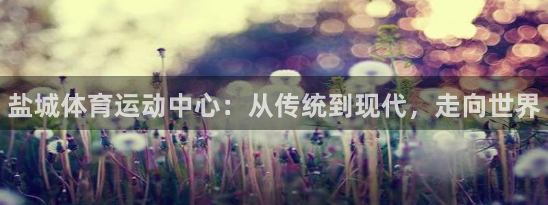 J9官方正版app神州：盐城体育运动中心：从传统到现代，走向