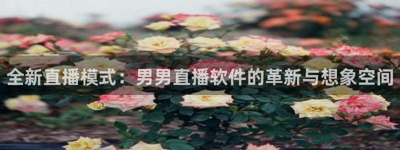 nba直播蜘蛛直播：全新直播模式：男男直播软件的革新与想象空间