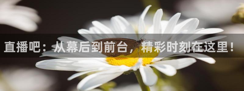 蜘蛛体育可可：直播吧：从幕后到前台，精彩时刻在这里！